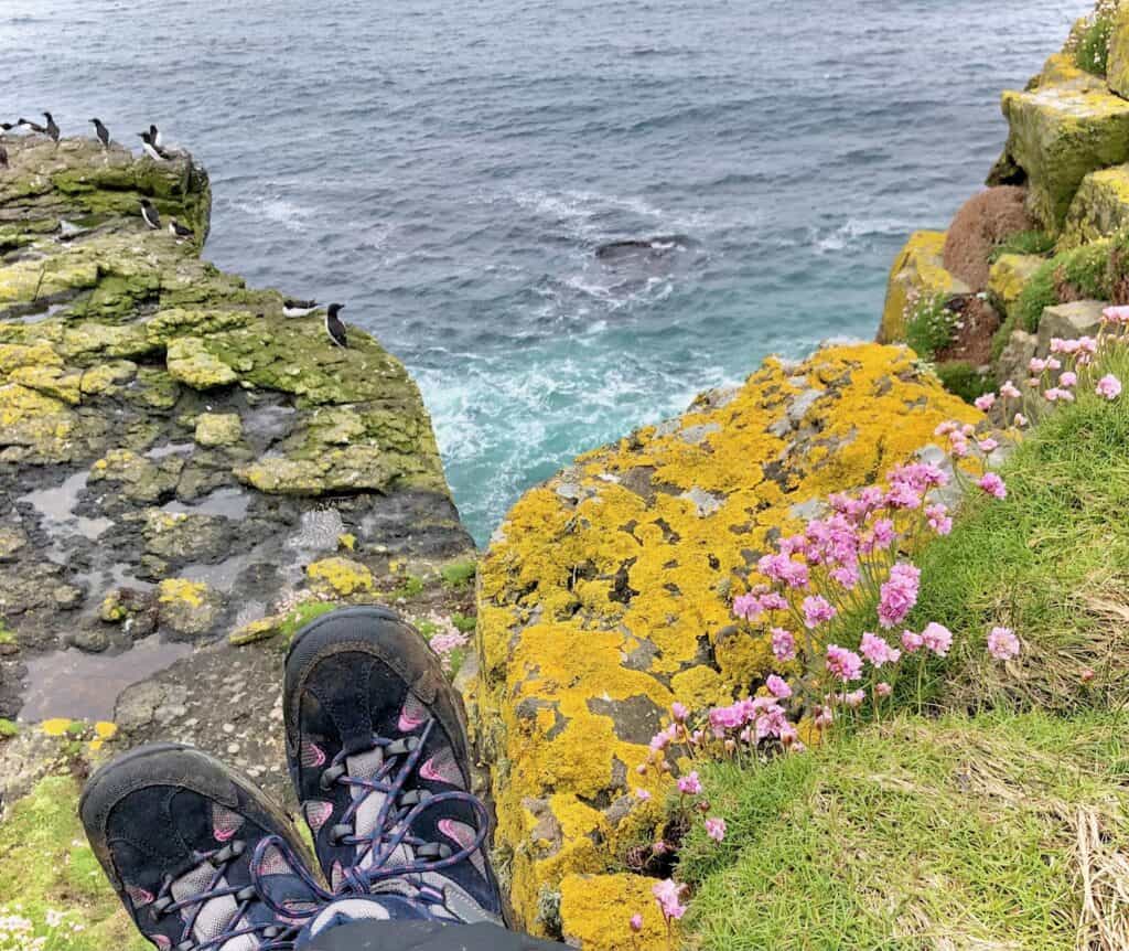 A pair of hiking boots at the edge of a grassy cliff, overlooking the ocean with puffins in Scotland on the rocky shore and pink flowers in the foreground.