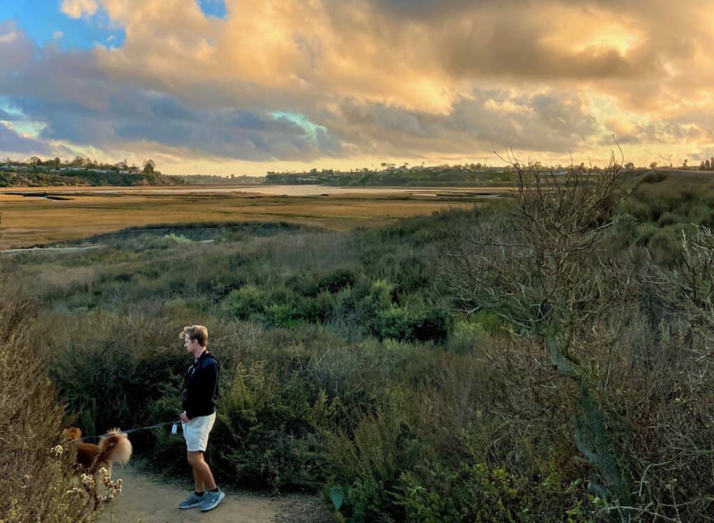 A man wearing a black hoodie and white shorts is walking his dog on a path through a marshland under a dramatic sky with golden clouds. The landscape features a mix of shrubs, grasses, and distant trees.