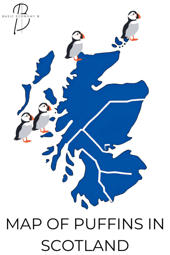 Map of puffins in Scotland.