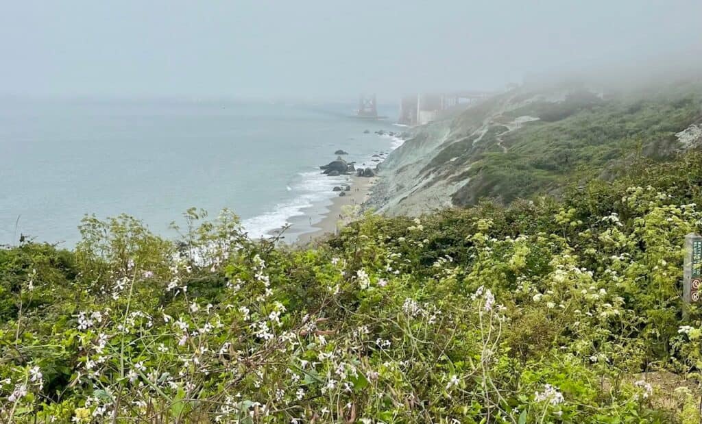 A foggy view of the Golden Gate Bridge from nearby Baker Beach. Lush vegetation is in view as well as the ocean shoreline.