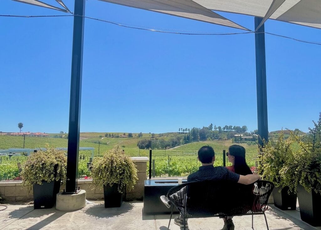 A couple sits together on a shaded patio, facing a vast vineyard under a clear blue sky. They are surrounded by potted plants, with rolling hills and grapevines visible in the background.