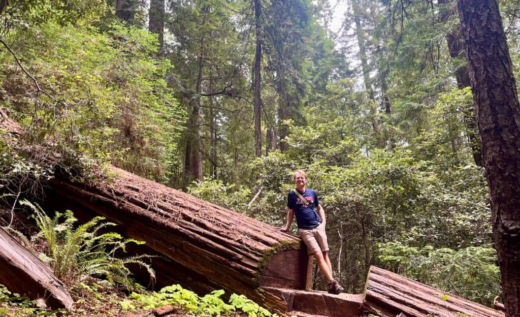 A man stands on a downed redwood tree on one of the best dog-friendly redwood hikes. The tree has a path carved into it.