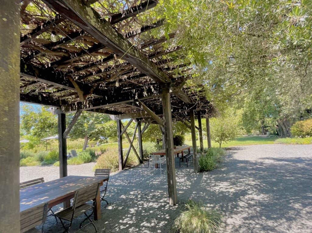 An outdoor seating area under a wooden pergola covered with vines, providing shade. The setting is surrounded by trees and lush vegetation.