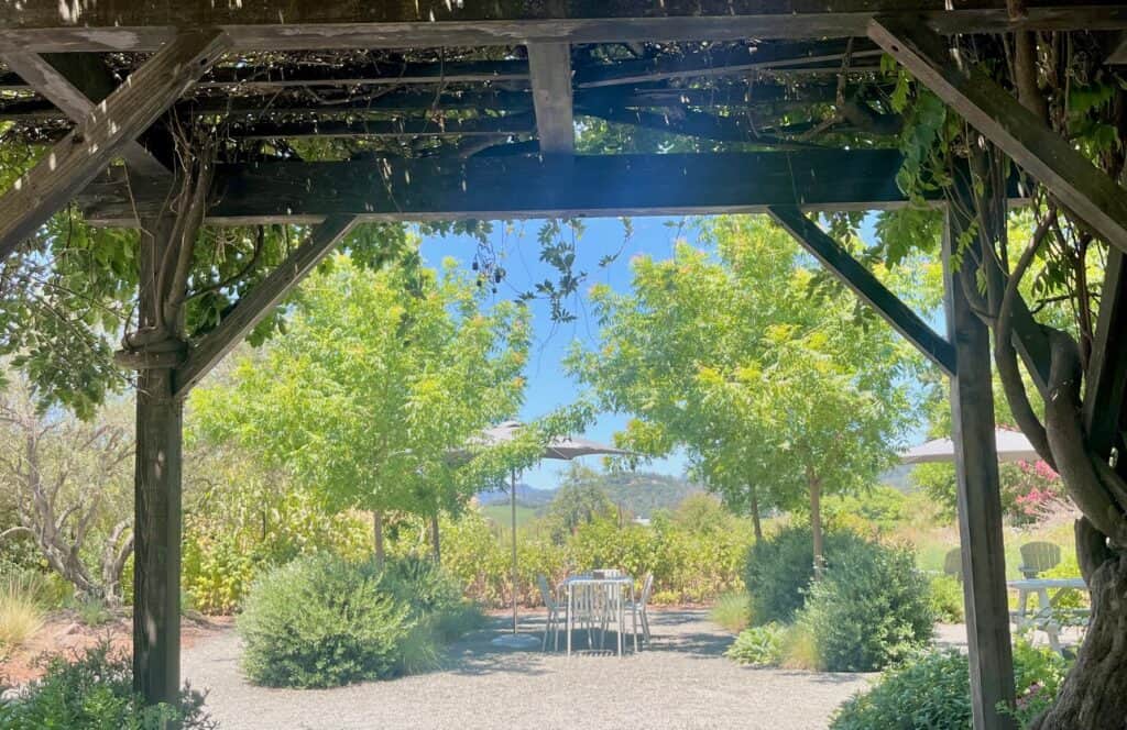 An outdoor seating area under a wooden pergola covered with vines, providing shade with mountains in the distance. The setting is surrounded by trees and lush vegetation.