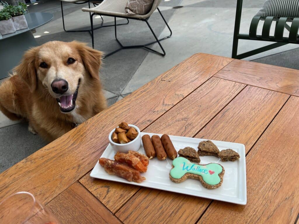 A dog smiles in front of a platter of dog treats that make up his Barkuterie Board at Migration Winery, including a cookie that has the name Wallace on it.