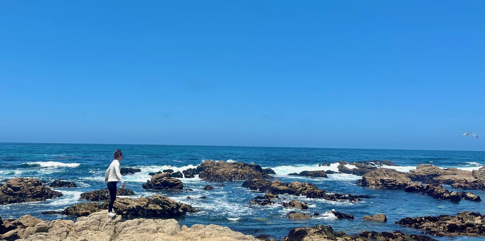 Woman stands on rocky edge of shoreline with blue ocean waters and blue sky.