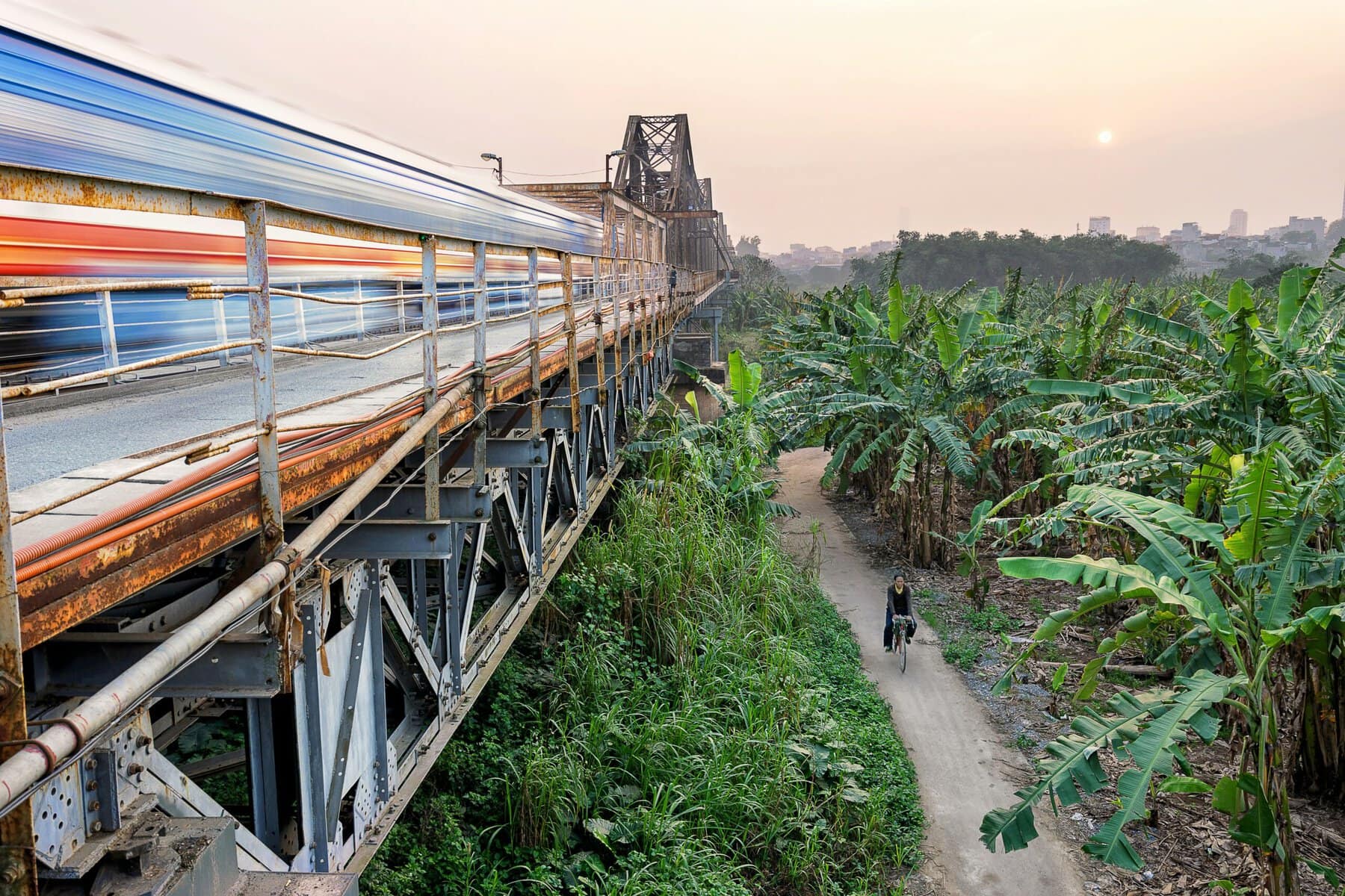 A train moving through lush vegetation.