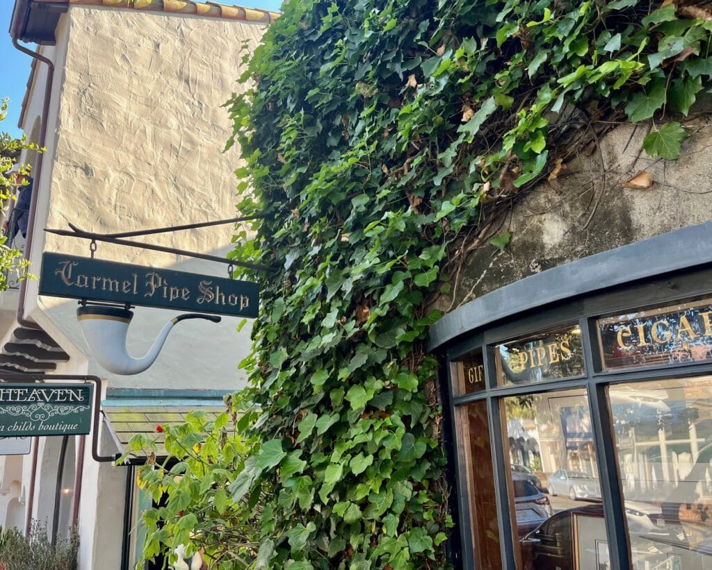 A sign for the "Carmel Pipe Shop" hangs above a window adorned with vines. The store’s exterior features ivy climbing up the wall, with the sign shaped like a pipe, and gold-lettered words on the window advertising pipes and cigars.