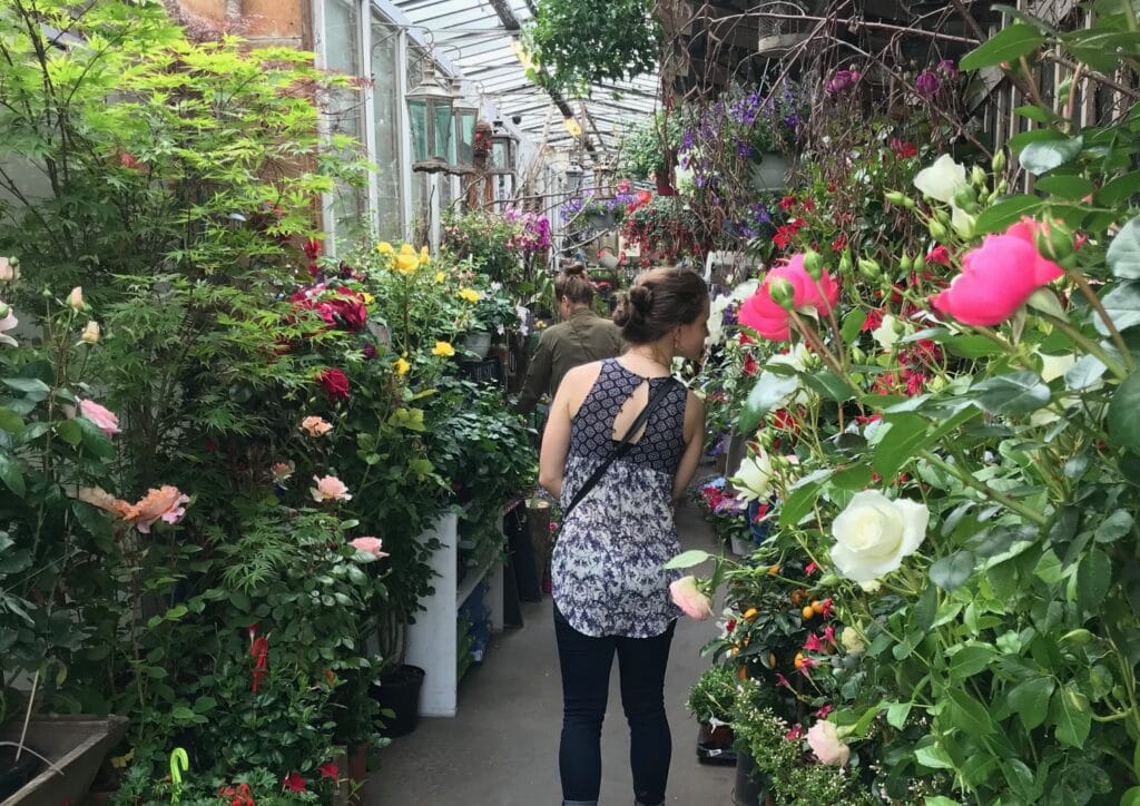 A woman in a patterned sleeveless top walks through a lush greenhouse filled with colorful flowers and plants, including roses and other blooming flora. The aisle is vibrant with green leaves and pink, yellow, and red flowers.