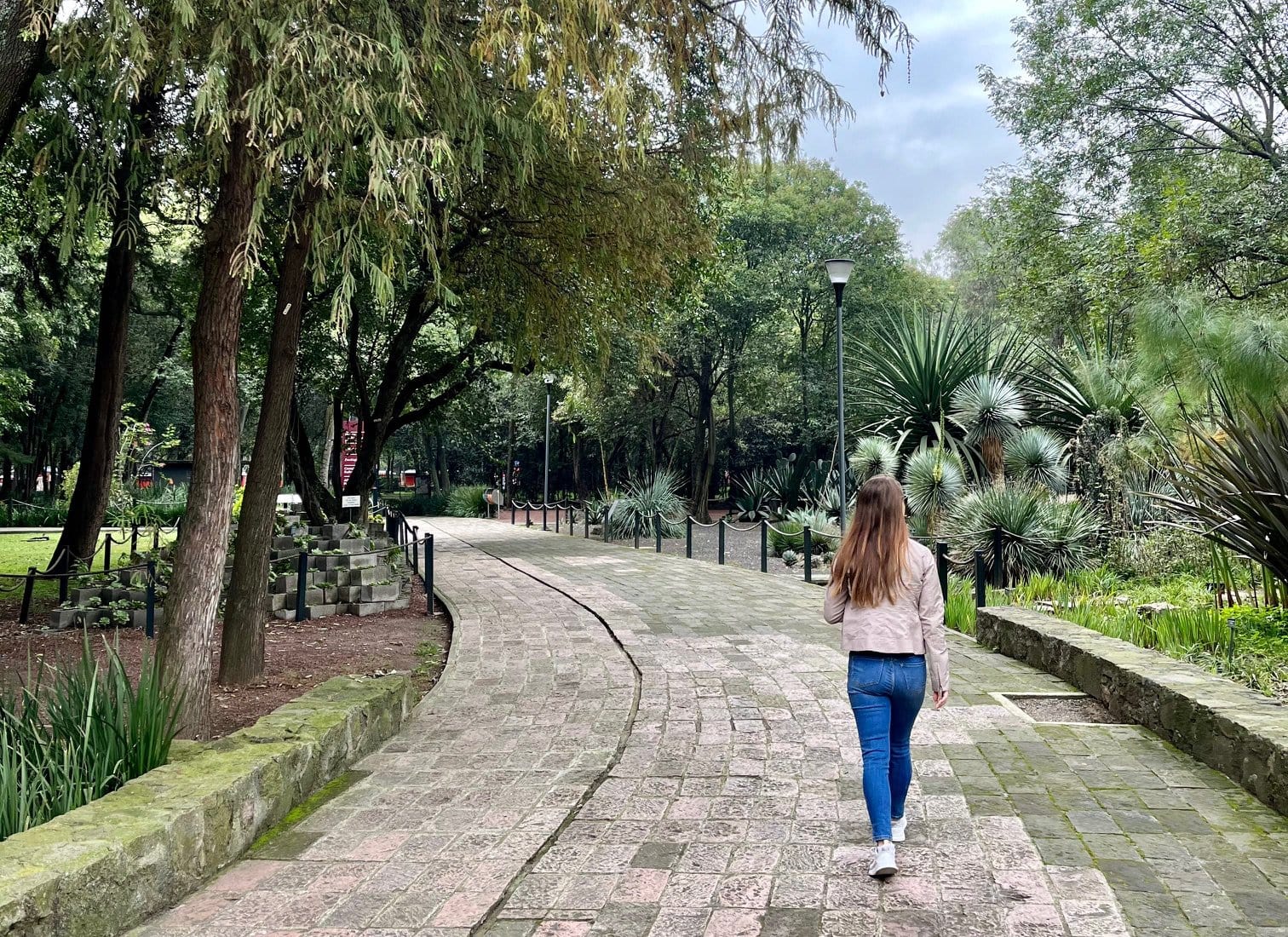 35 Must Know Mexico City Travel Tips for First Time Visitors 