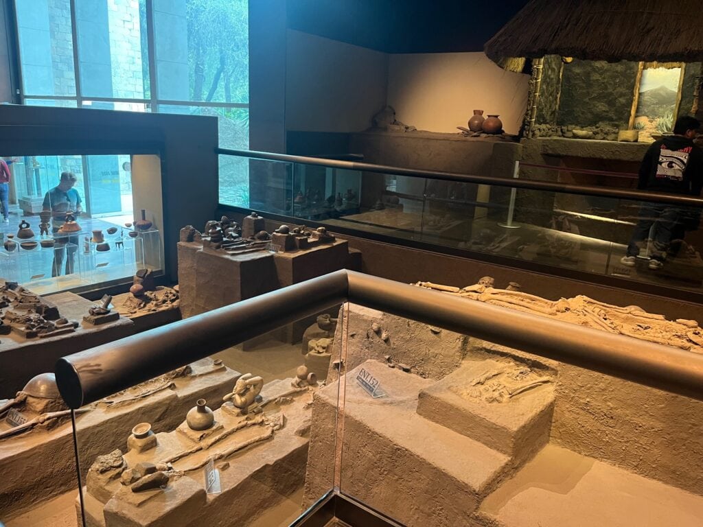 A museum exhibit showcasing ancient artifacts, including pottery and skeletal remains. The display features well-preserved skeletons laid out in open dirt graves, with pottery and other relics surrounding them. In the background, glass cases hold more artifacts, while a person observes the exhibit through the glass.